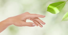 Describe the photo or the page it links to